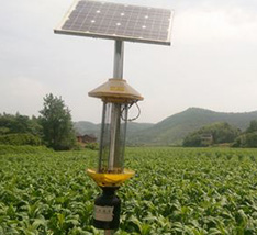 三门峡卢氏县烟草公司太阳能杀虫灯项目